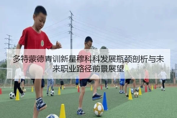 多特蒙德青训新星穆科科发展瓶颈剖析与未来职业路径前景展望