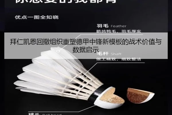 拜仁凯恩回撤组织重塑德甲中锋新模板的战术价值与数据启示